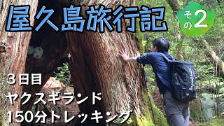 屋久島旅行の記録｜屋久杉ランドでトレッキング！ こだまたちの棲む森を歩く [upl. by Ecirehc990]