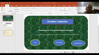 Regimen cambiarío [upl. by Balbur]