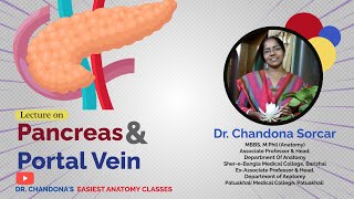 LECTURE ON ANATOMY OF PANCREAS AND PORTAL VEIN [upl. by Kylie]