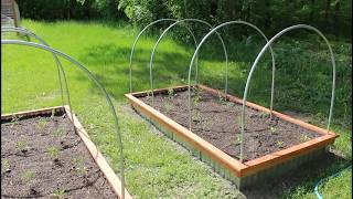 HUGELKULTUR RAISED GROWING BEDS WITH NO COST INSECT NETTING [upl. by Ayihsa]