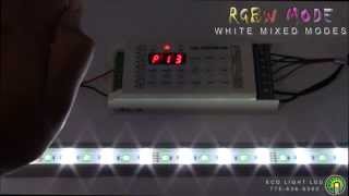 RGBW LED Controller with 4 Color LED Strip Light  EcolocityLEDcom [upl. by Acinomahs]