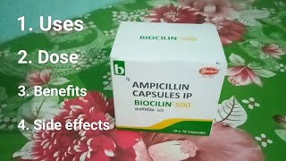 Ampicillin 500 Capsule l Ampicillin Capsules l Antibiotics use Dose Benefits amp Side effects Hindi [upl. by Yetac643]