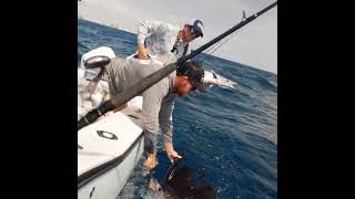 Good Hit Sport Fishing  Charter Fishing in Fort Lauderdale  Square [upl. by Nirol]