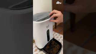 Automatic Pet Feeder [upl. by Mikal]