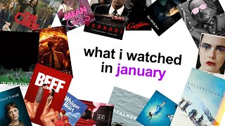 what i watched in january [upl. by Ikiv]