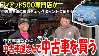 【初コラボ】フィアット専門店が中古車選びの極意教えます！中古車屋が中古車屋で中古車を買う！【フィアット500】 [upl. by Kristal]