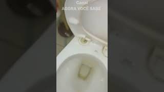 SIM EU TENHO MEDO DE BUEIROS KKKK talassofobia [upl. by Sungam]