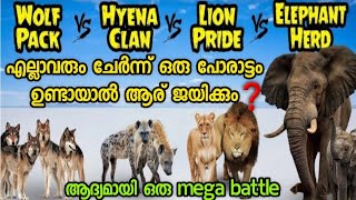 lion pride vs elephant herd vs hyena clan vs wolf pack vs killer bees  ആര് ജയിക്കും [upl. by Nicoline354]