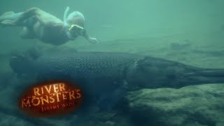 Swimming With Lethal Alligator Gars  ALLIGATOR GAR  River Monsters [upl. by Iseabal870]