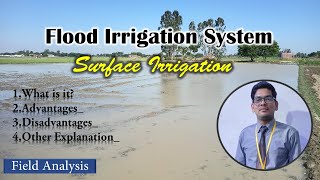 🔴 Flood Irrigation System  Surface irrigation Method  Irrigation Engineering  Civil engineering [upl. by Lilli]