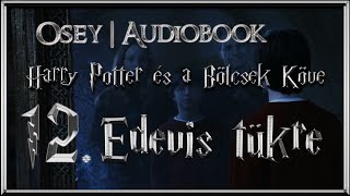 Harry Potter és a Bölcsek Köve hangoskönyv  12 fejezet [upl. by Anerres]