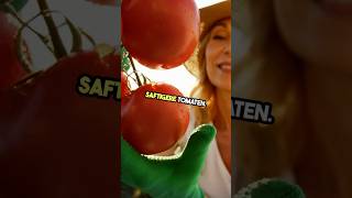 Saftigere Tomaten 🍅 Der Trick ist einfacher als du denkst… 👇 [upl. by Nileuqaj]