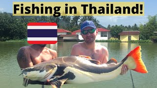 Fishing in Thailand  MONSTER FISH  TopCats  Koh Samui [upl. by Esinyl433]