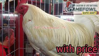 3rd Cagayan de oro National Gamefowl Expo 2024 with price [upl. by Fachini]