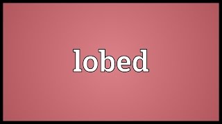 Lobed Meaning [upl. by Iznyl612]