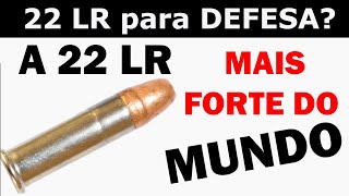 A munição 22 LR mais forte do mundo CCI Stinger x CBC Hyper x CBC Standard 🍈💥🔫😎 [upl. by Clementi]