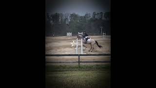 Got 5th in the show with a dressage score of 28 fypシ゚ horse eventing blowup greenscreen [upl. by Peednam]