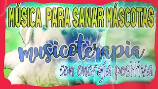 MUSICA PARA SANAR A LOS ANIMALES CON AMOR 🐶💖  MÚSICOTERAPIA con energía positiva para mascotas 1h [upl. by Lise]