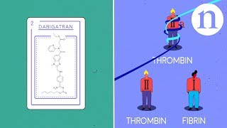 Thrombosis anticoagulants and the clotting cascade [upl. by Munt]