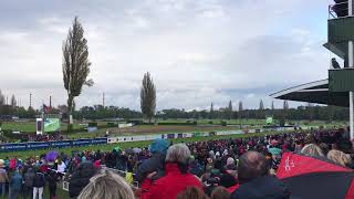 Velká Pardubická 2017 cíl [upl. by Trainor]