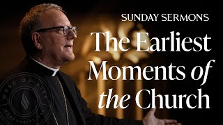 The Earliest Moments of the Church  Bishop Barrons Sunday Sermon [upl. by Erdnaek]