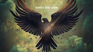 Matthew Parker amp Jacob Stanifer  Birds Eye View Official Lyric Video [upl. by Soinski766]