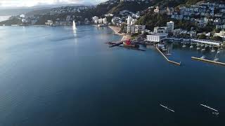 Carbonology SurkSki Flash in Wellington Harbour [upl. by Anevad]