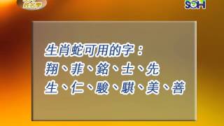 【生肖姓名學】 屬蛇的人適合與不適合的字 第22集 [upl. by Merriott619]