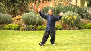 Qigong 18 Forms [upl. by Patrizio34]