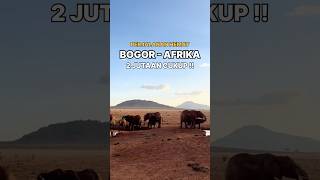 PERJALANAN HEMAT BOGOR KE AFRIKA BUDGET 2 JUTAAN [upl. by Dorca283]