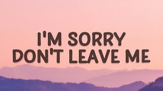 SLANDER  Im sorry dont leave me I want you here with me Lyrics  Love Is Gone [upl. by Shumway]