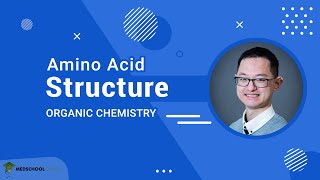 Structure of Amino Acids  MCAT Organic Chemistry Prep [upl. by Rik222]