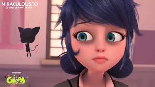 Miraculous ladybug Season 4 Kuro Neko  Marinette chooses the “NEW” Catnoir  Episode 23 [upl. by Ennairda89]