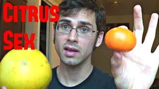 Citrus Hybrids Explained Pomelo Tangelo and Ugli Fruit Review  Weird Fruit Explorer  Ep 24 [upl. by Bokaj489]