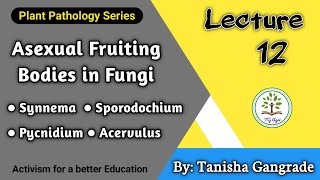 Asexual Fruiting Bodies  Fructification in Fungi  Synnemata  Pycnidium  Acervuli  by Tanisha [upl. by Eggleston918]