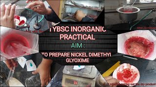 tybsc to prepare nickel dimethylglyoxime inorganic chemistry practical [upl. by Trakas494]