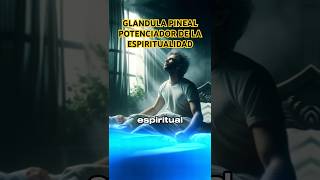 COMO ACTIVAR LA GLÁNDULA PINEAL [upl. by Trin]