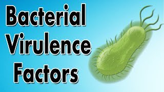 Bacterial Virulence Factors [upl. by Tarazi102]