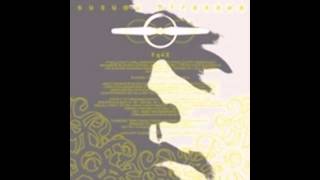 Susumu Hirasawa Philosephers Propeller1＋Philosephers Propeller3 mix [upl. by Ennael]