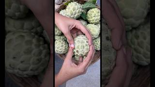 Sitaphalam health benefits సీతాఫలం shorts custardapple youtubeshorts fruit shortvideo [upl. by Nichy]