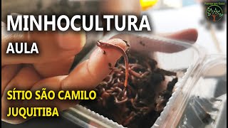 Minhocultura terceira Parte Curso realizado no Sítio São Camilo em Juquitibaminhocultura 3 [upl. by Kalina423]