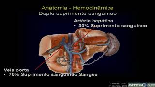 DOPPLER HEPÃTICO  HIPERTENSÃƒO PORTAL  CRITÃ‰RIOS E PARÃ‚METROS [upl. by Aehta529]