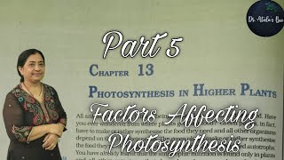 photosynthesis in higher plants  Part 5  Class 11 Biology  NCERT NEET [upl. by Rudiger399]