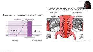 How to Track Cervical Mucus with Monica Rincon Marquette Method Natural Family Planning Instructor [upl. by Onaivatco837]