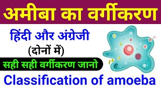 अमीबा का वर्गीकरण  amoeba ka classification  amoeba ka vargikaran  biology scienceSK [upl. by Heddie9]