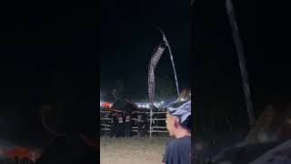 FANS nya ARISTASURA SINI KUMPUL bantengan jaranan senibantengan shotsvideokarnaval kudalumping [upl. by Yasu]