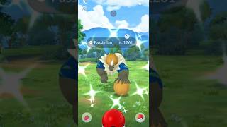 ✨¡Shiny PASSIMIAN Caught✨ Shiny hunting  Pokémon GO shinypokemon shinyhunting [upl. by Baras]