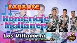 HOMENAJE A MALLANEP Los Villacorta Desvocalizado Karaoke  Cumbias [upl. by Ateval349]