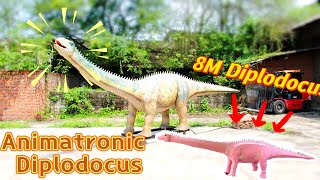 MY DINO  Large Size Animatronic Diplodocus for Park [upl. by Loralee757]