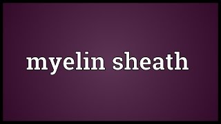 Myelin sheath Meaning [upl. by Cumings]